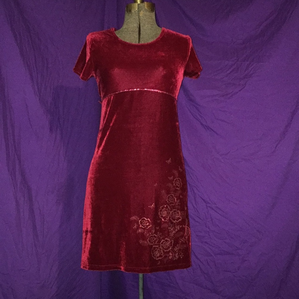 🎀EUC Basic Editions Velvety Dress